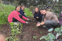 Mills College Community Farm